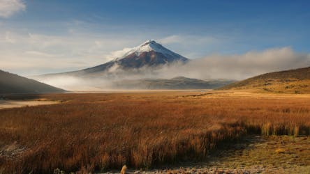 Cotopaxi National Park half-day tour with transfers
